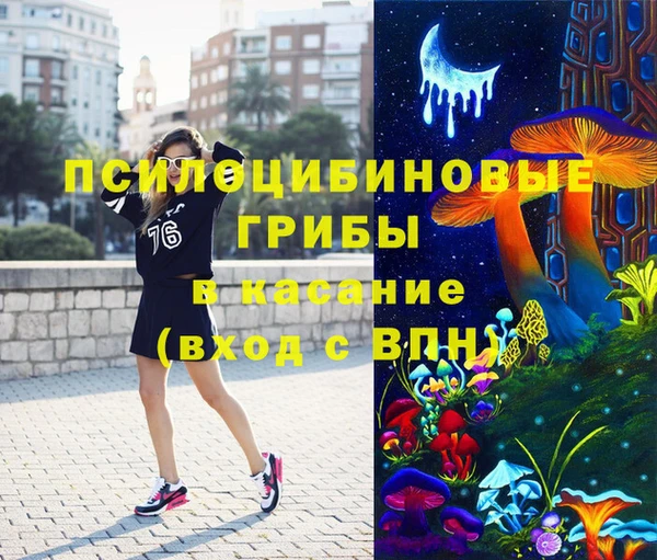 эйфоретик Алексин