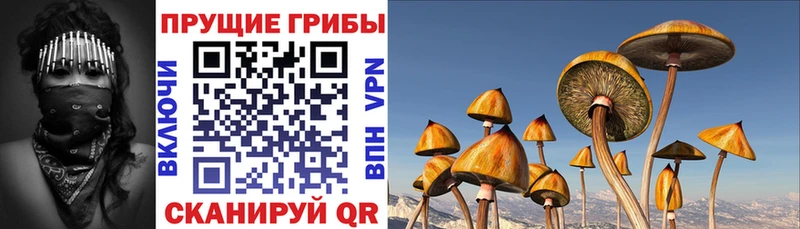 Псилоцибиновые грибы мухоморы  Кизел 